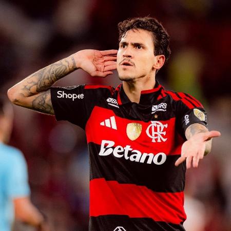 Pedro comemora gol do Flamengo contra o Estudiantes pela Libertadores